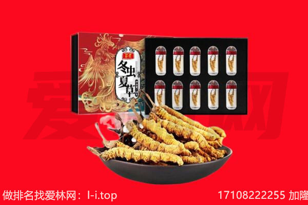 吉林回收虫草.jpg